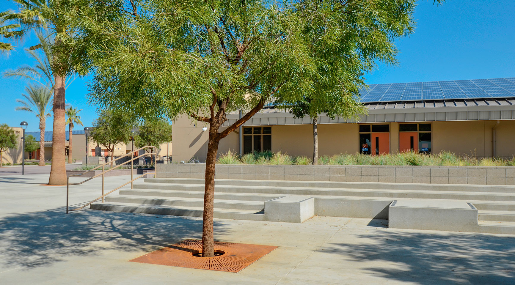 School Buildings with Solar