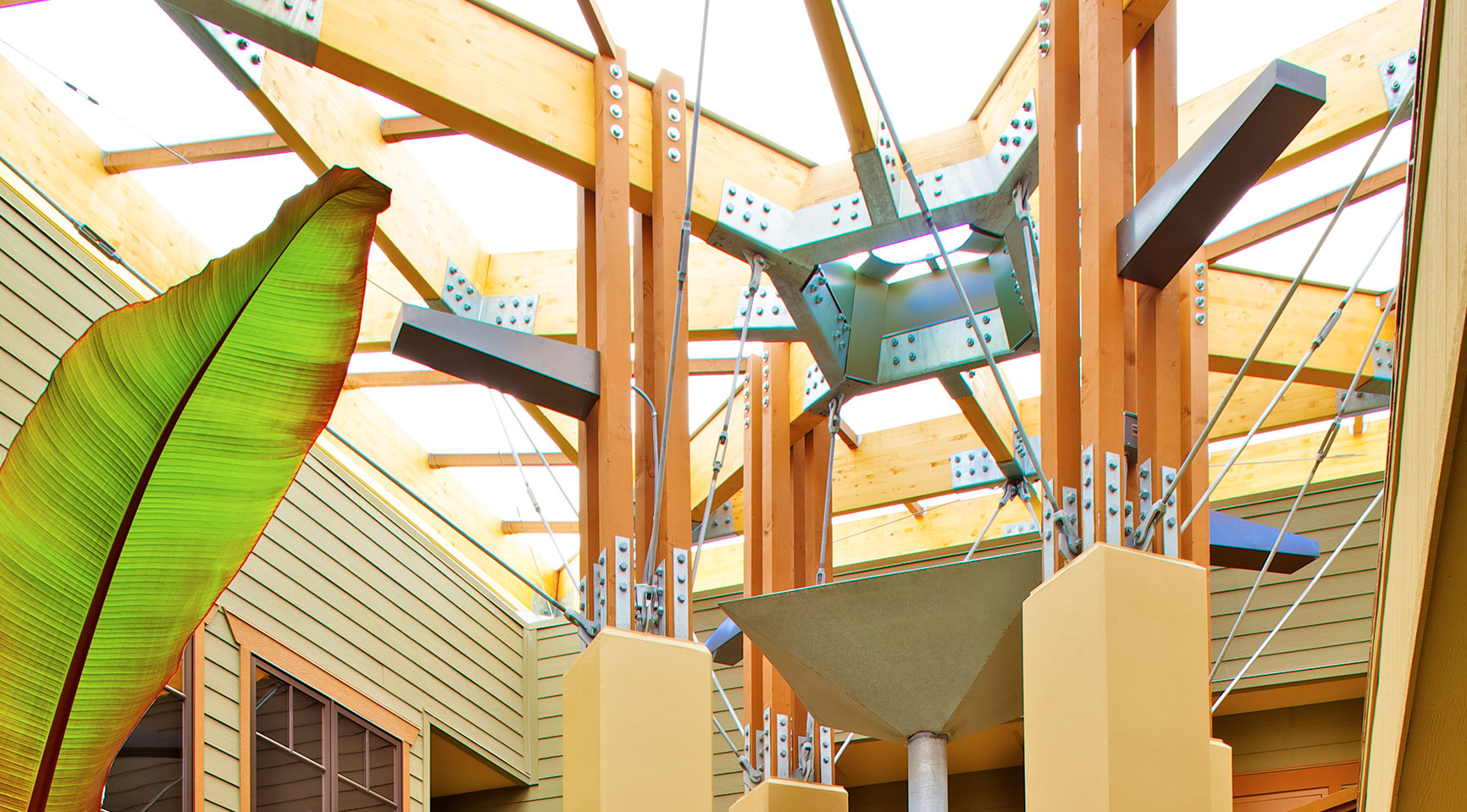 Rain catcher Architecture